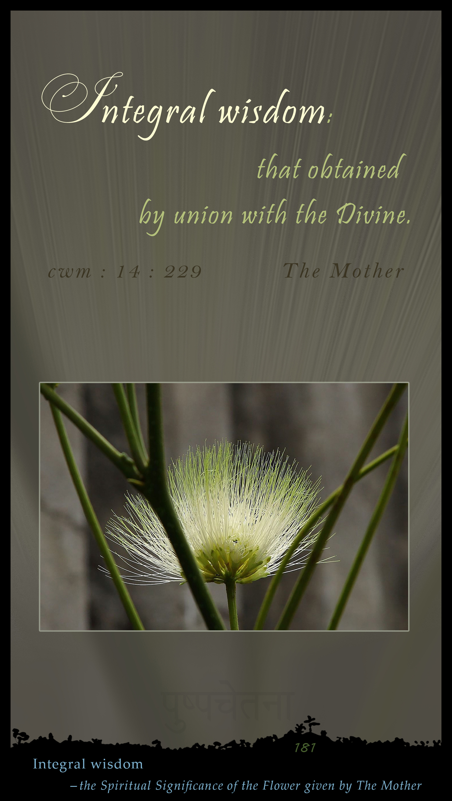 Integral Wisdom